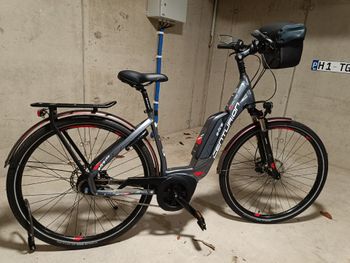 Brugt Centurion E-Fire Shimano Alfine 8 hub gears 2020 Urban & Touring