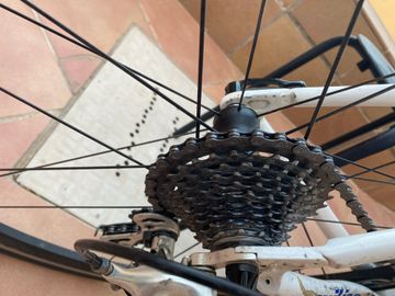 Used Wilier Triestina Campagnolo Veloce 2003 Road & Gravel, Blue — image 10 of 12