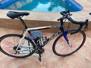 Wilier Triestina Campagnolo Veloce 2003 Road & Gravel usato