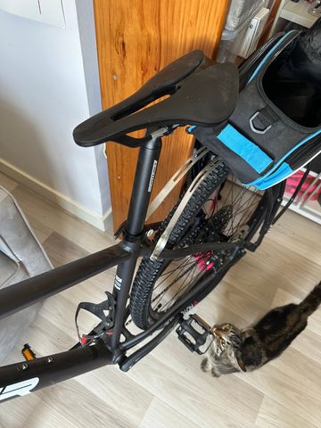 Used MMR WOKI 30 2021 2021 Mountainbike, Black, 29 — image 8 of 9