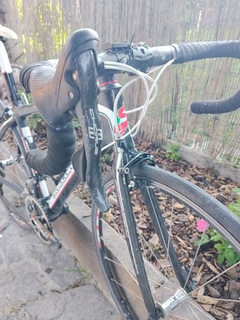 Gebrauchtes Saccarelli Custom Campagnolo Chorus 2018 Road & Gravel, Schwarz — Bild 8 von 9