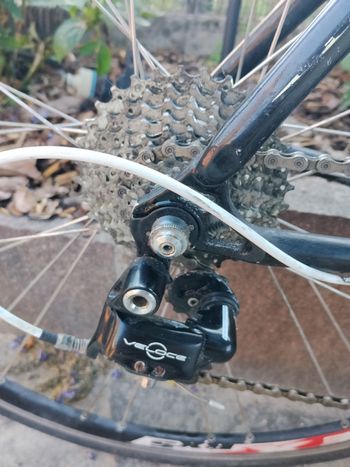 Gebrauchtes Saccarelli Custom Campagnolo Chorus 2018 Road & Gravel, Schwarz — Bild 7 von 9