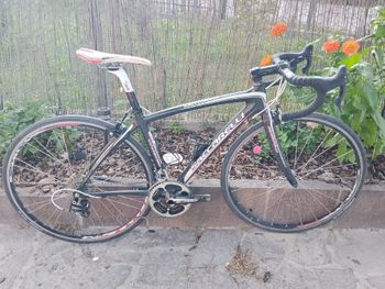 Brugt Saccarelli Custom Campagnolo Chorus 2018 Road & Gravel