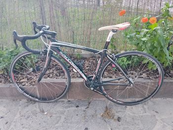 Gebrauchtes Saccarelli Custom Campagnolo Chorus 2018 Road & Gravel, Schwarz — Bild 2 von 9