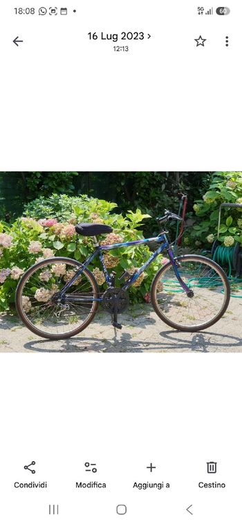 Used Bergamin Custom Urban & Touring
