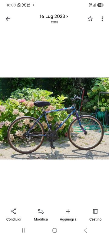 Used Bergamin Custom Urban & Touring