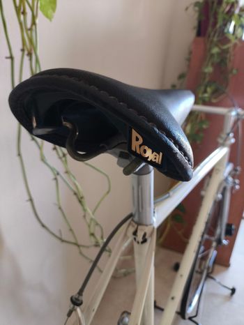 Used Somec Custom Campagnolo Super Record 1979 Road & Gravel, White — image 6 of 9