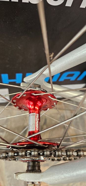 Gebrauchtes Pista Custom Other Campagnolo 2015 Road & Gravel, Hellgrau — Bild 2 von 4
