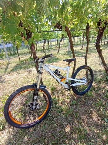 Gebrauchtes Canyon Torque Shimano Deore XT 2014 MTB