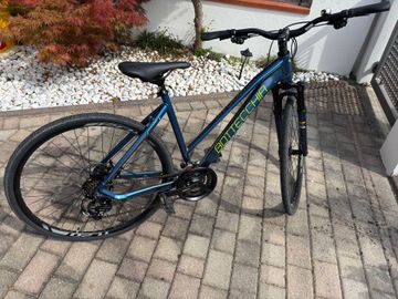 Gebrauchtes Bottecchia Custom 2026 Urban & Touring
