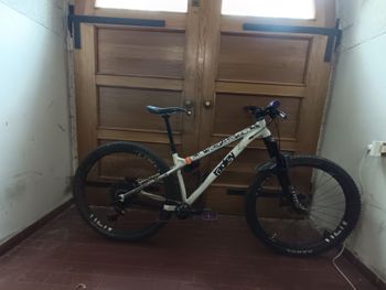 Used Ragley Big Al 2023 (ultimo Modello Andolo Sterzo 63.5) 2023 MTB