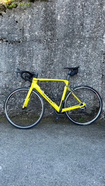 Brugt Wilier Cento10pro Other Campagnolo 2023 Road & Gravel — billede 2 af 7