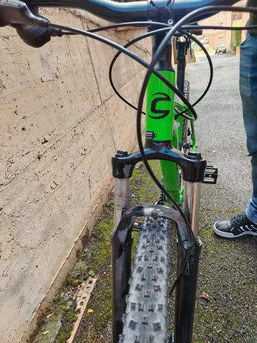 Used Cannondale Trail 7 2020 2020 Mountainbike, Green, 29 — image 12 of 12