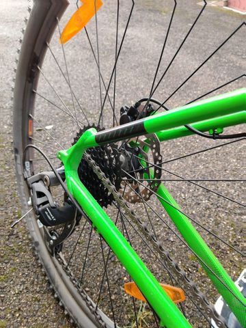 Used Cannondale Trail 7 2020 2020 Mountainbike, Green, 29 — image 6 of 12