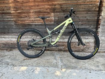 Used Canyon Spectral 29 CF 7 2024 2024 MTB
