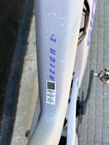 Giant Reign Advanced E+ 2 2026 2026 Mountainbike usato, Bianco — immagine 4 di 4