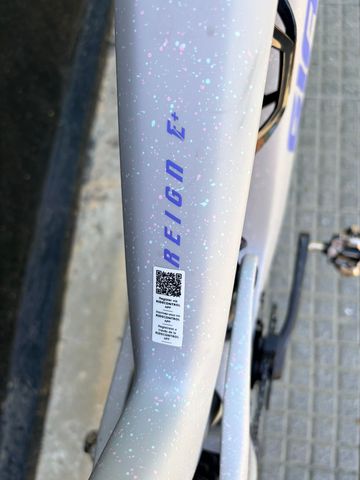 Used Giant Reign Advanced E+ 2 2026 2026 Mountainbike, White, 27.5 — image 4 of 4
