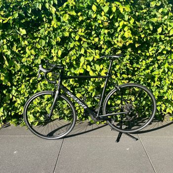 Used Sensa Romagna Comp 2022 2022 Road & Gravel