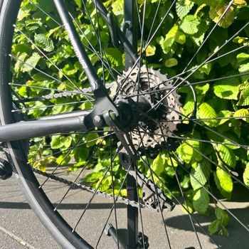 Used Sensa Romagna Comp 2022 2022 Road & Gravel, Black — image 7 of 10