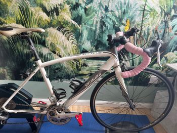 Gebrauchtes Specialized Secteur Sport Triple 2010 2010 Road & Gravel