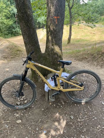 Used Focus SAM 9.9 2022 2022 Mountainbike, Black, 29 — image 2 of 10