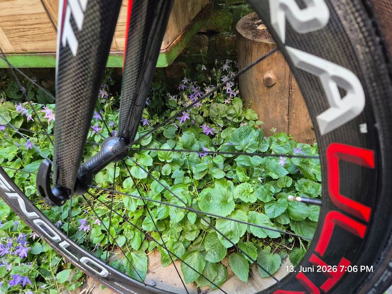 Brugt Time Scylon Campagnolo Record 2019 Road & Gravel — billede 7 af 12