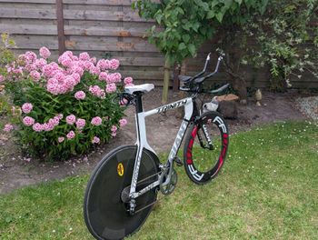 Used Giant Trinity Shimano Ultegra 2016 Road & Gravel, White — image 7 of 14