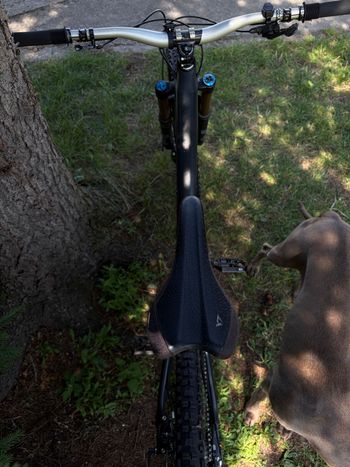 Brugt YT Industries CAPRA 29 CF Pro Race 2019 2019 Mountainbike — billede 22 af 23