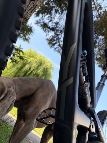 Brugt YT Industries CAPRA 29 CF Pro Race 2019 2019 Mountainbike — billede 9 af 23