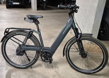 Gebrauchtes Riese & Müller Nevo 2024 Urban & Touring