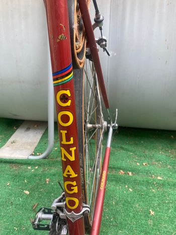 Brugt Colnago Super 1982 Road & Gravel — billede 11 af 16