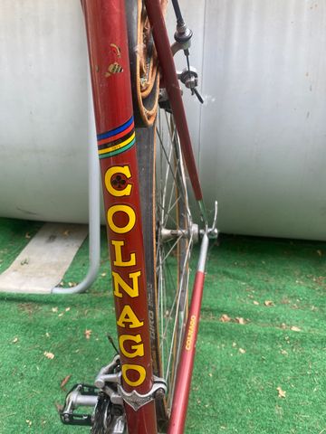 Used Colnago Super 1982 Road & Gravel, Red — image 11 of 16