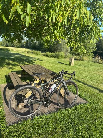 Liv Avail Advanced 1 2023 2023 Road & Gravel usato, Verde — immagine 4 di 4