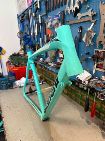 Gebrauchtes Bianchi IMPULSO. 2020. NOS. NUOVO. Frameset 2020 Road & Gravel