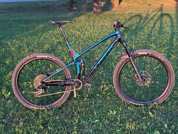 Trek Fuel EX 8 GX 2021 2021 MTB de segunda mano
