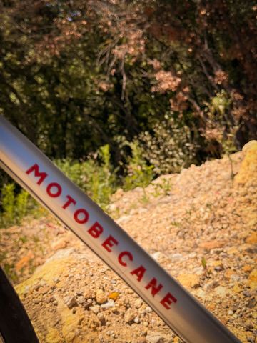Used Motobecane Custom Simplex Vintage 1980 Road & Gravel, Light Gray — image 2 of 10