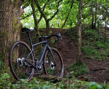 Brugt Specialized Diverge Comp Carbon 2021 2021 Road & Gravel — billede 5 af 10