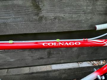 Used Colnago Export Campagnolo Record 1983 Road & Gravel, White — image 3 of 21