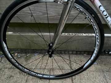 Used Colnago Export Campagnolo Record 1983 Road & Gravel, White — image 16 of 21