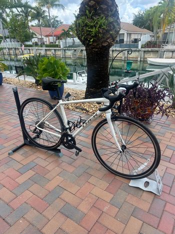 Used Trek Domane AL 3 Gen 3 2023 2023 Road & Gravel