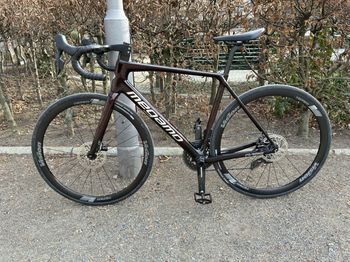 Gebrauchtes Megamo Raise 04 AXS 2024 Limited Edition Alpha Red 2024 Road & Gravel