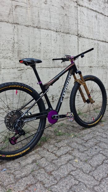 Brugt S Works Epic Wc 2025 2025 Mountainbike — billede 3 af 12
