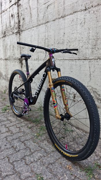 Brugt S Works Epic Wc 2025 2025 Mountainbike — billede 7 af 12