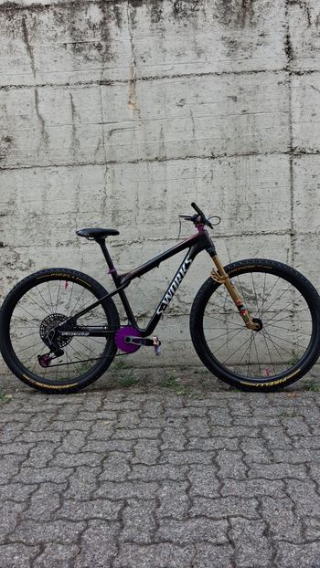 Used S Works Epic Wc 2025 2025 MTB