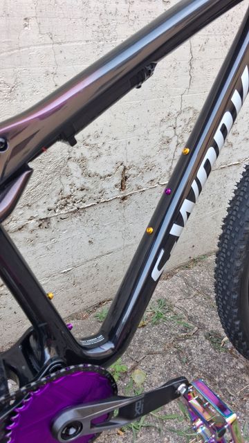 Gebrauchtes Specialized Epic Wc 2025 2025 Mountainbike, Schwarz — Bild 2 von 12