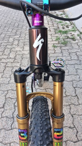 Brugt S Works Epic Wc 2025 2025 Mountainbike — billede 5 af 12