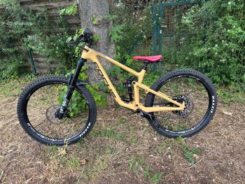 Gebrauchtes Focus SAM 9.9 2021 2021 MTB