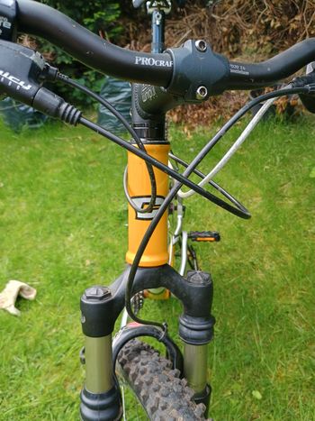 Gebrauchtes Canyon Yellow Stone 2001 Mountainbike, Orange — Bild 4 von 12