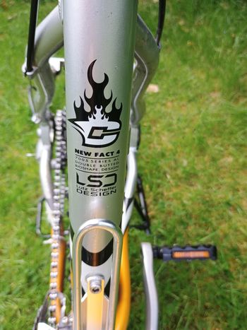 Gebrauchtes Canyon Yellow Stone 2001 Mountainbike, Orange — Bild 3 von 12