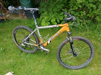 Brugt Canyon Yellow Stone 2001 MTB